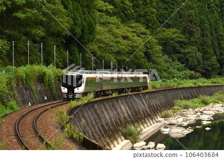 JR東海HC85系列特急飛驒號 JR東海HC85系列特急飛驒號 106403684