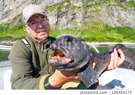 Fisherman with big wolffish near Lofoten, Senija, Alta Norway. Man holding catch Atlantic wolf fish 106404175