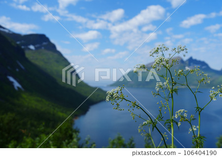 Beautiful classic Norwegian summer landscape in the month of July. mighty mountains meadows, sea Beautiful classic Norwegian summer landscape in the month of July. mighty mountains meadows, sea 106404190