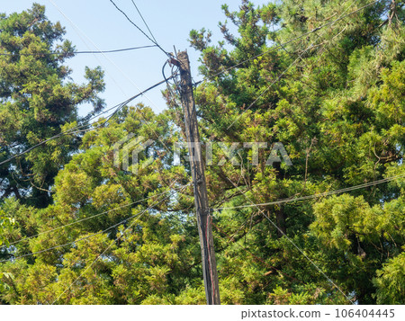 A crooked pole with wires. Old technologies. Wired communications. A crooked pole with wires. Old technologies. Wired communications. 106404445