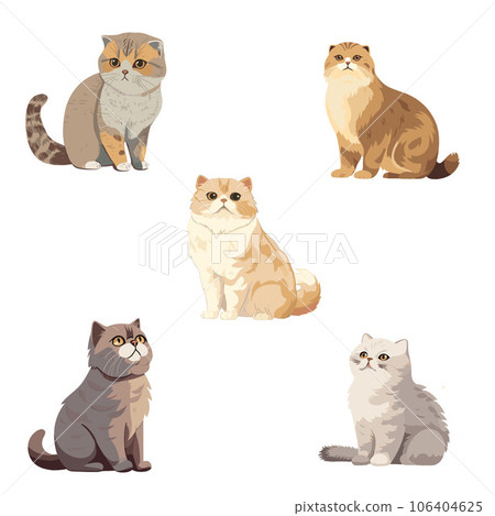 5種貓蘇格蘭折耳貓插圖 5種貓蘇格蘭折耳貓插圖 106404625