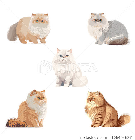 5 types of cat Persian illustrations 106404627