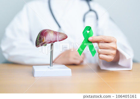 Doctor with green ribbon and human Liver anatomy model. Liver cancer October awareness month, Tumor, Jaundice, Virus Hepatitis, Cirrhosis, Failure, Enlarged, Hepatic Encephalopathy, and health concept 106405161