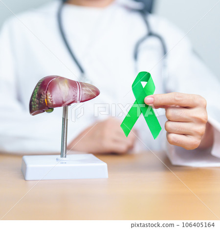 Doctor with green ribbon and human Liver anatomy model. Liver cancer October awareness month, Tumor, Jaundice, Virus Hepatitis, Cirrhosis, Failure, Enlarged, Hepatic Encephalopathy, and health concept 106405164