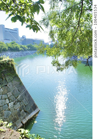 城堡護城河上的綠樹 106405534