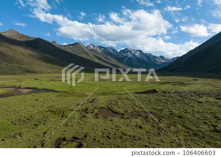 Aerial view of beautiful high altitude grassland and flowers, China 106406603