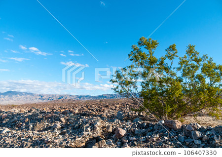 Death Valley National Park landscape Death Valley National Park landscape 106407330