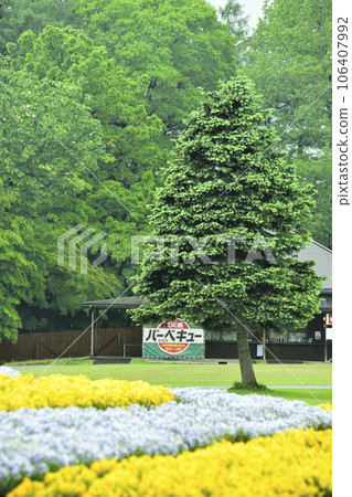 Koiwai農場景觀 106407992