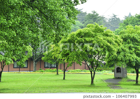 Koiwai農場景觀 Koiwai農場景觀 106407993