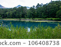 mysterious swamp 106408738