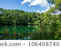 Green trees and blue sky 106408740