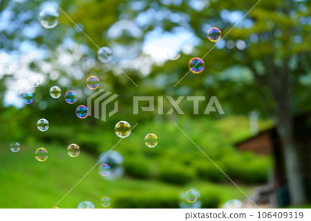 公園樹木背景肥皂泡 公園樹木背景肥皂泡 106409319