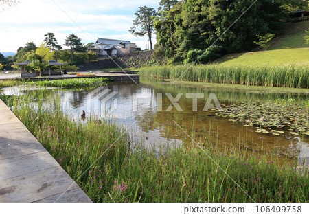 石川縣金澤市金澤城公園和池塘的景色 石川縣金澤市金澤城公園和池塘的景色 106409758