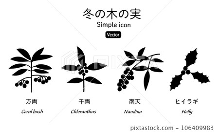 冬季結果的植物的插圖 Manryo Senryo Nanten Holly 剪影圖標集 106409983