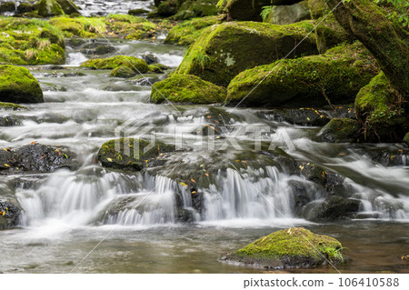 A waterfall leading to the Kikuchi Gorge with a clear stream flowing through nature A waterfall leading to the Kikuchi Gorge with a clear stream flowing through nature 106410588