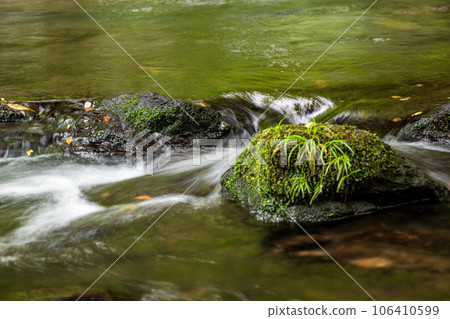 A waterfall leading to the Kikuchi Gorge with a clear stream flowing through nature A waterfall leading to the Kikuchi Gorge with a clear stream flowing through nature 106410599
