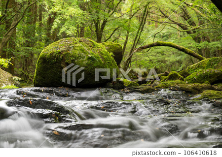 A waterfall leading to the Kikuchi Gorge with a clear stream flowing through nature A waterfall leading to the Kikuchi Gorge with a clear stream flowing through nature 106410618