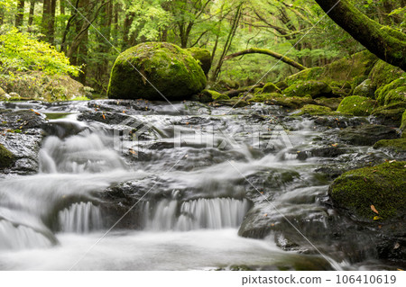 A waterfall leading to the Kikuchi Gorge with a clear stream flowing through nature A waterfall leading to the Kikuchi Gorge with a clear stream flowing through nature 106410619