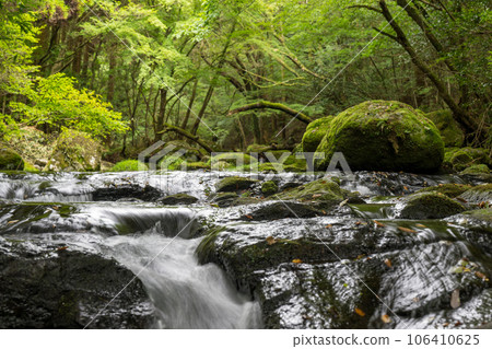 A waterfall leading to the Kikuchi Gorge with a clear stream flowing through nature A waterfall leading to the Kikuchi Gorge with a clear stream flowing through nature 106410625