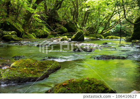 A waterfall leading to the Kikuchi Gorge with a clear stream flowing through nature 106410627