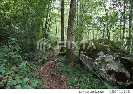 Trail in Tornovo, Julian Alps, Slovenia 106411108