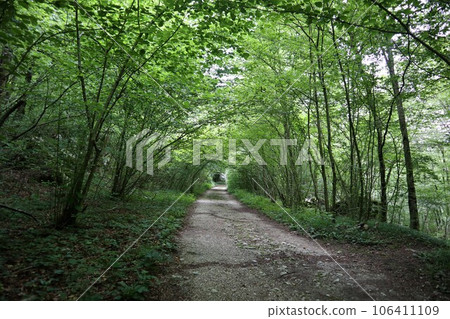 斯洛文尼亞托爾諾沃步道 106411109