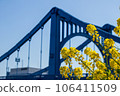 Rape blossoms and Kiyosu Bridge against the spring blue sky 106411509