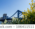 Kiyosu Bridge seen from the Sumidagawa Terrace 106411511