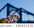 red flowers and bridge 106411516