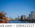 Red flowers blooming along the Sumida River 106411517