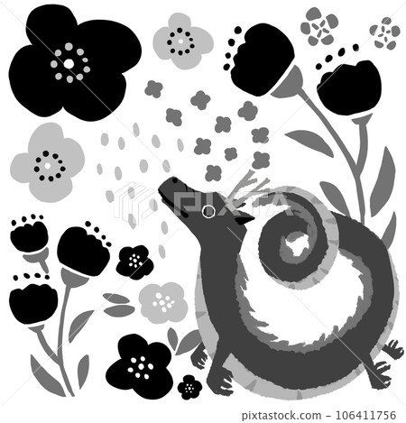 花龍黑 花龍黑 106411756
