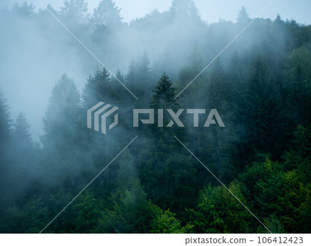 Misty Carpathian Mountains with fog landscape. Foggy morning green fir trees forest on a rainy day. 106412423