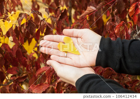 Yellow heartshaped fall leaf in female hands blurred nature background. Colorful autumn tree leaves hearts vintage lens. Yellow heartshaped fall leaf in female hands blurred nature background. Colorful autumn tree leaves hearts vintage lens. 106412434