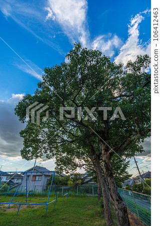 2023 年奈良市公園樹木上空的夏日天空和背後的夏日天空 2023 年奈良市公園樹木上空的夏日天空和背後的夏日天空 106412463