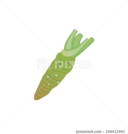 食品_蔬菜_芥末 106412991