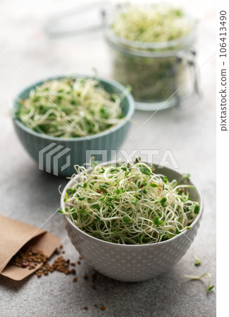 Microgreens grown in a jar. 106413490