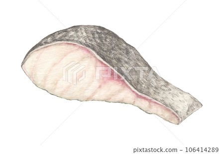 Cod fillet watercolor pencil illustration Cod fillet watercolor pencil illustration 106414289