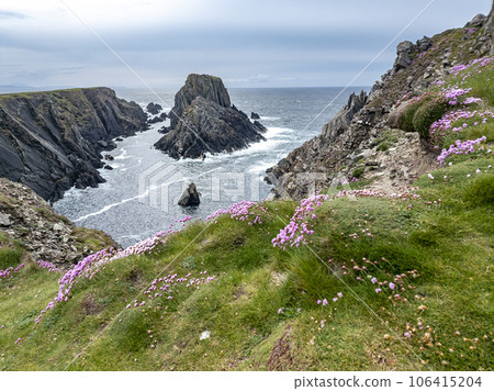 The sea cliffs and stacks at Malin Head. the Northern most point in Ireland 106415204