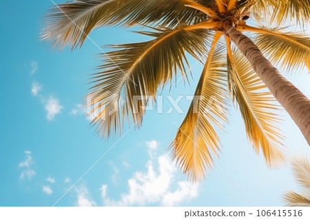 Summer holidays travel concept. Palm trees against blue sky Summer holidays travel concept. Palm trees against blue sky 106415516