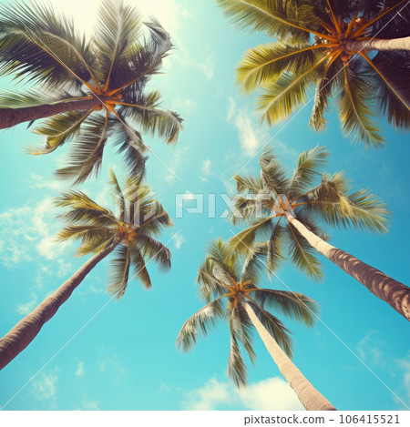 Summer holidays travel concept. Palm trees against blue sky Summer holidays travel concept. Palm trees against blue sky 106415521