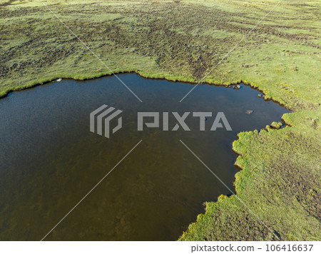 Aerial view of beautiful high altitude grassland and flowers, China 106416637