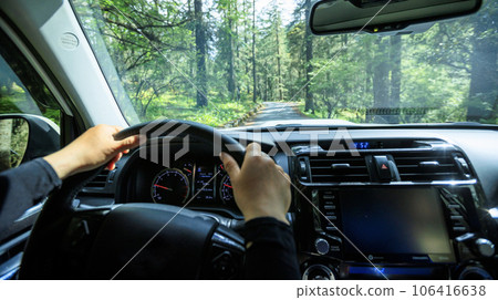 Driving car in the forest mountain trail, China 106416638