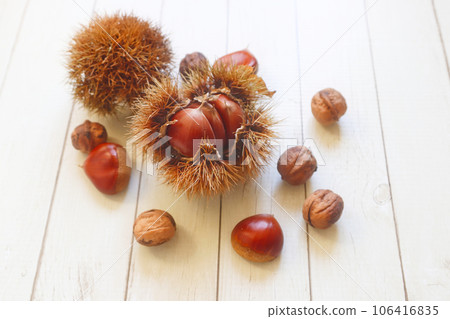 Autumn taste chestnuts and burrs Autumn taste chestnuts and burrs 106416835