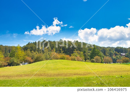 Early autumn lawn park with blue sky and greenery Early autumn lawn park with blue sky and greenery 106416975
