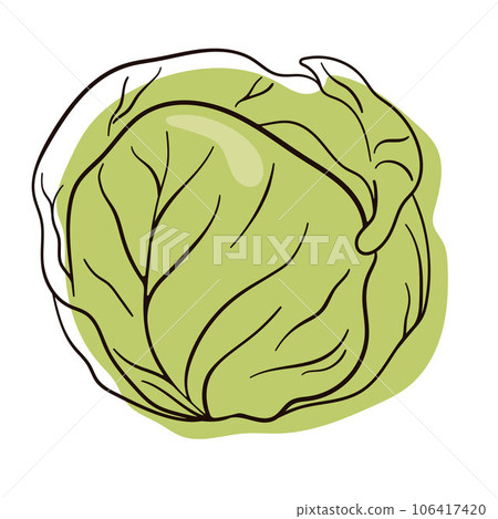 Cabbage in line art style. Fresh and healthy food. Vegetarian nutrition. Organic ingredient for salad. Flat vector icon. Cabbage in line art style. Fresh and healthy food. Vegetarian nutrition. Organic ingredient for salad. Flat vector icon. 106417420