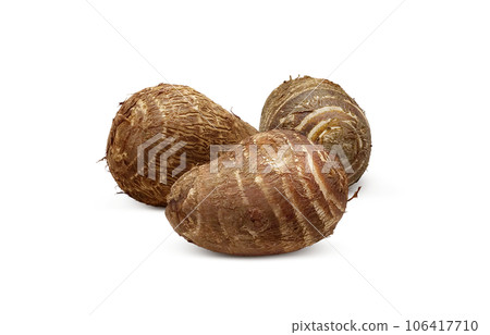 taro illustration realistic 106417710