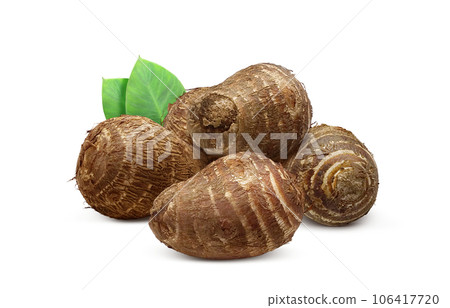 taro illustration realistic 106417720