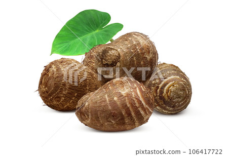 芋頭插畫現實 芋頭插畫現實 106417722