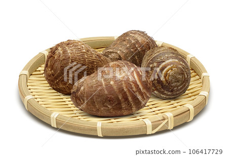 芋頭插畫現實 106417729