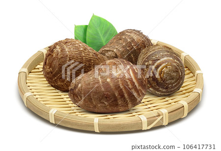 芋頭插畫現實 芋頭插畫現實 106417731